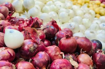 продукты, лук, овощи