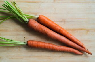 морковь, еда, овощи