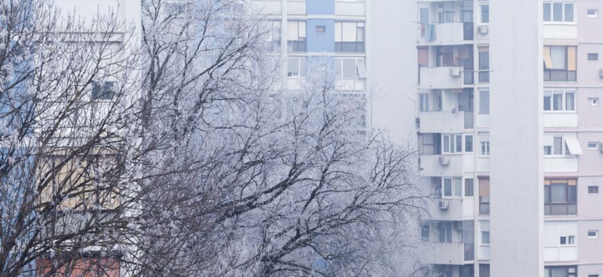 погода, зима, дерево, дом