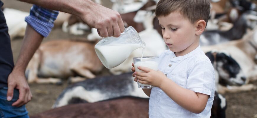 молоко, ферма
