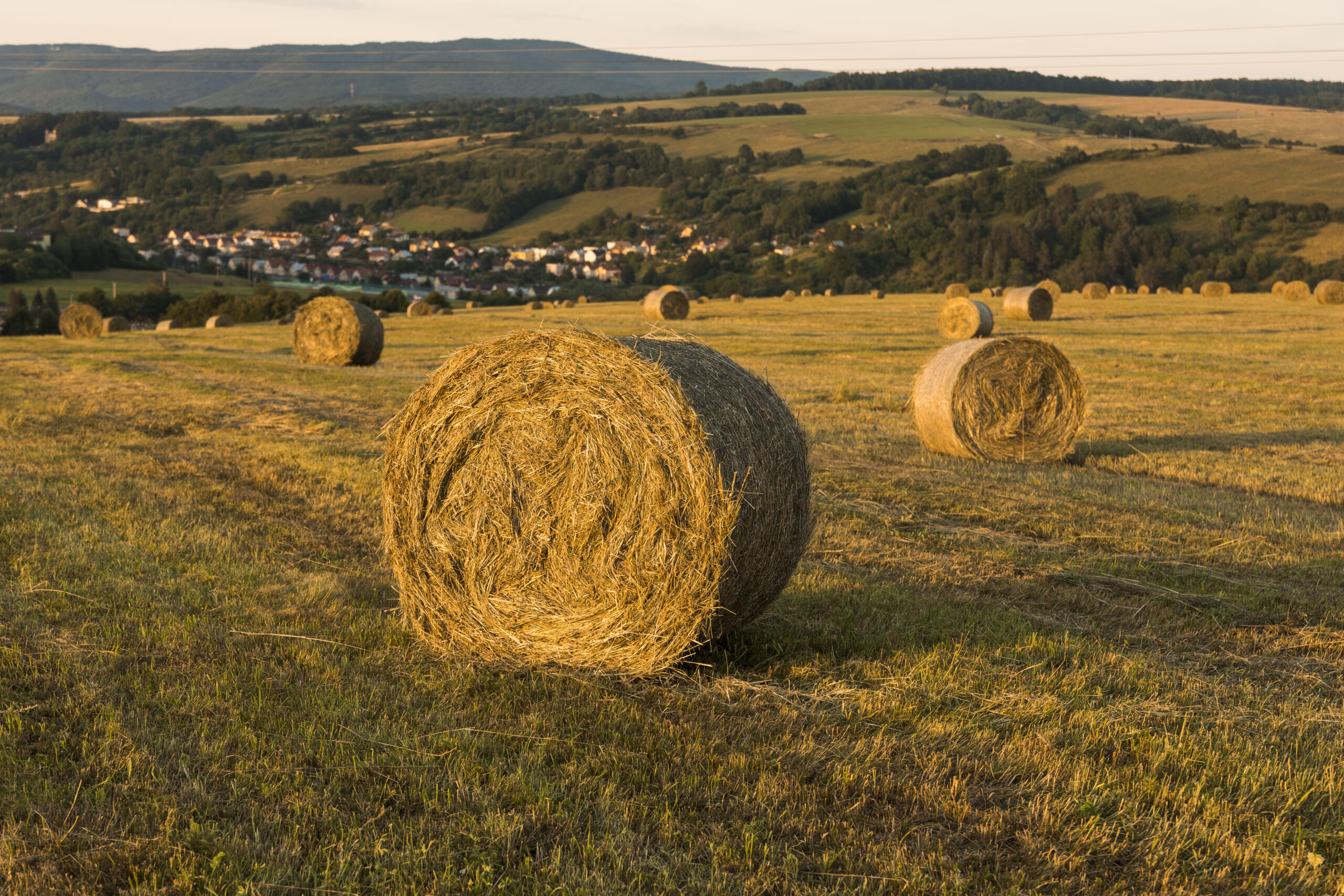 село, деревня