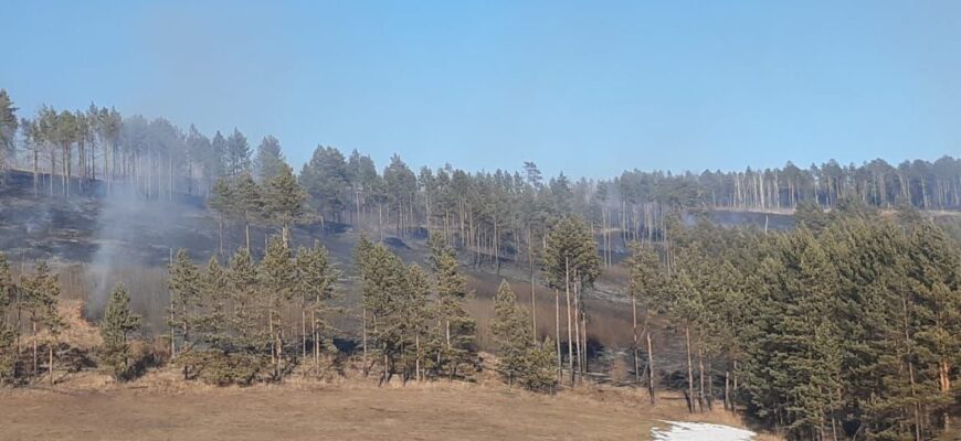 лесной пожар Иркутская область