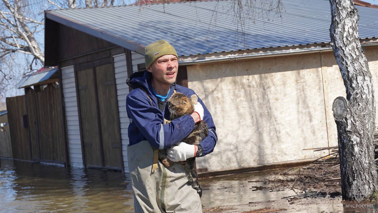 Сотрудники МЧС России спасли напуганного паводком коня в Тюменской области