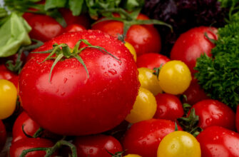 овощи, помидоры, томаты, сельское хозяйство, урожай