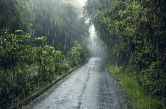 дождь, погода, природа