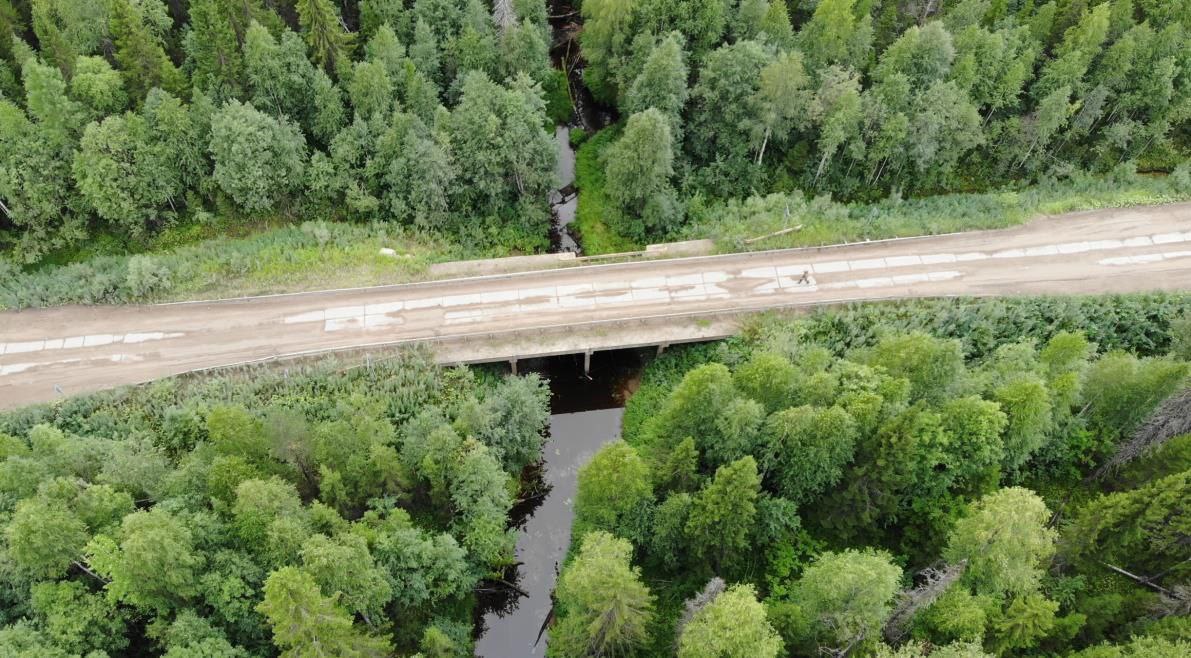 ремонт дорог Архангельск