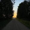 дорога, ремонт дороги, лес