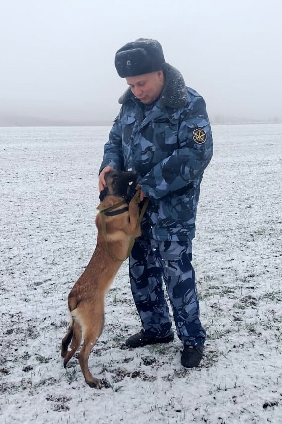 Щенки-новобранцы пополнили ряды кинологической службы смоленского УФСИН